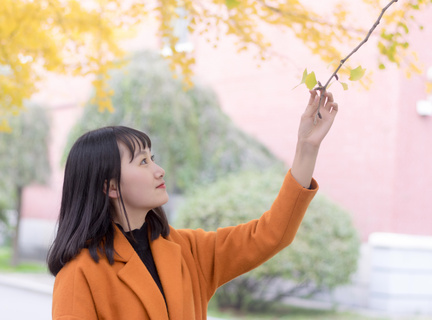 菲律宾大学普及程度